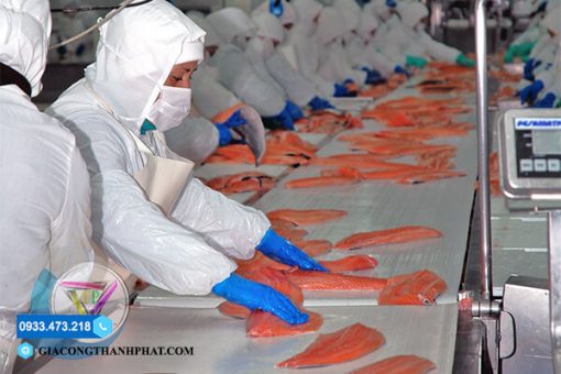 Băng Tải Fillet Cá: Giải Pháp Vận Chuyển Hiệu Quả