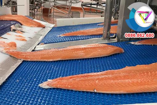 Ứng dụng của băng tải nhám gai PVC