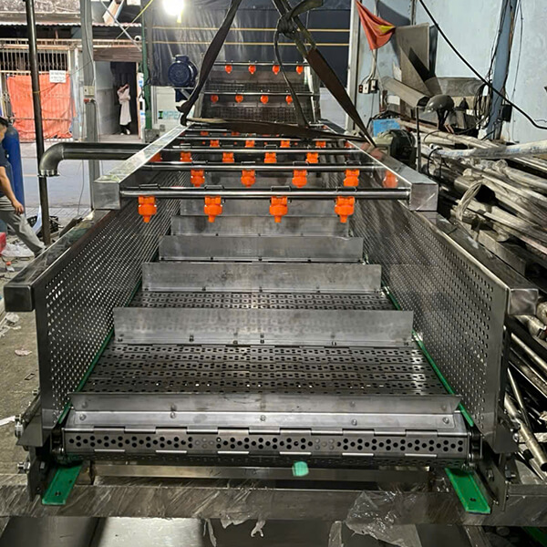 Dự án băng chuyền rửa rau củ